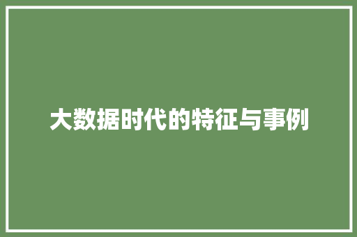 大数据时代的特征与事例