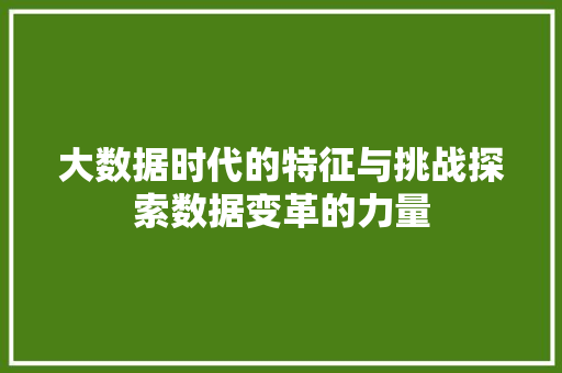 大数据时代的特征与挑战探索数据变革的力量 大数据时代的特征与挑战探索数据变革的力量