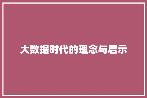 大数据时代的理念与启示