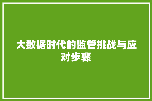 大数据时代的监管挑战与应对步骤