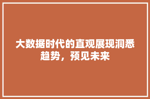 大数据时代的直观展现洞悉趋势，预见未来