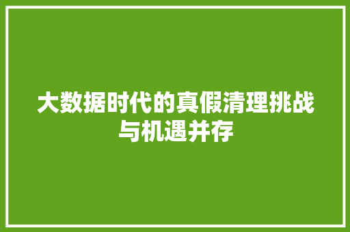 大数据时代的真假清理挑战与机遇并存