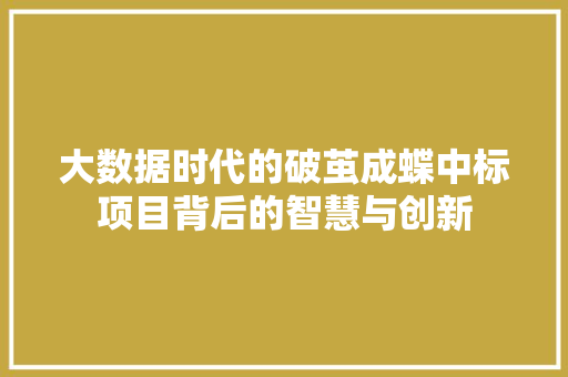 大数据时代的破茧成蝶中标项目背后的智慧与创新
