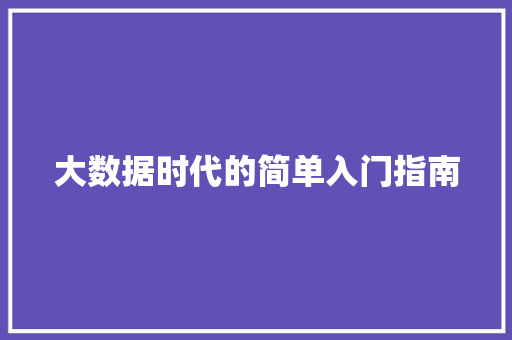 大数据时代的简单入门指南