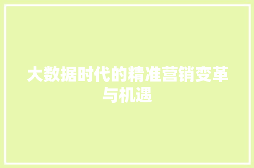 大数据时代的精准营销变革与机遇