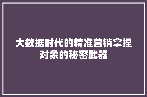 大数据时代的精准营销拿捏对象的秘密武器