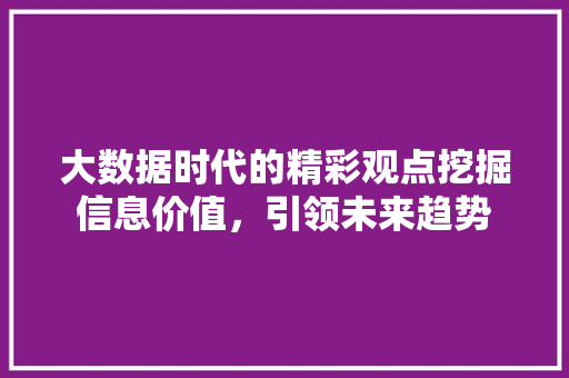 大数据时代的精彩观点挖掘信息价值，引领未来趋势