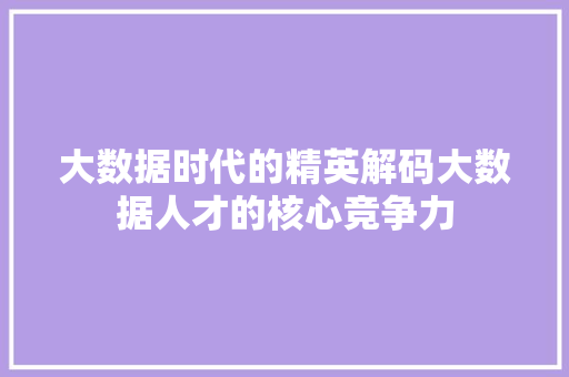 大数据时代的精英解码大数据人才的核心竞争力