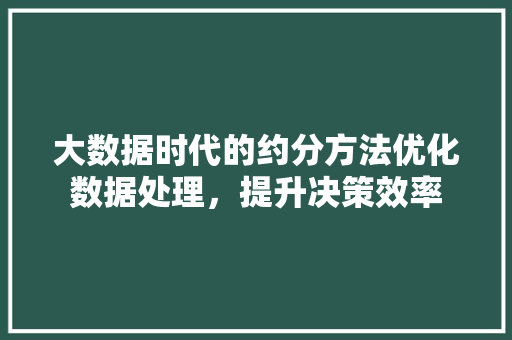 大数据时代的约分方法优化数据处理，提升决策效率