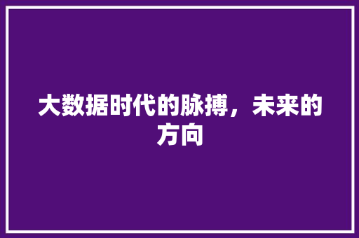 大数据时代的脉搏，未来的方向