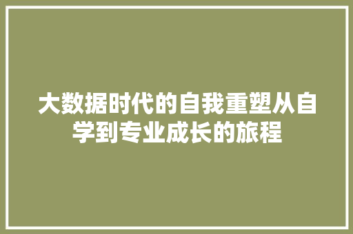 大数据时代的自我重塑从自学到专业成长的旅程