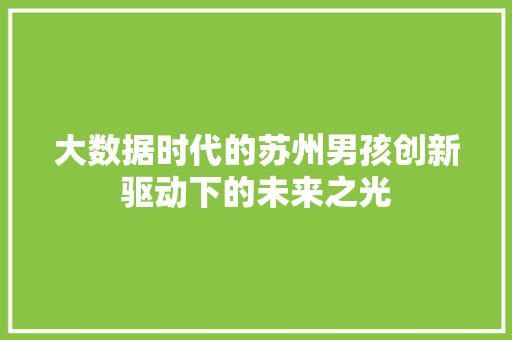 大数据时代的苏州男孩创新驱动下的未来之光