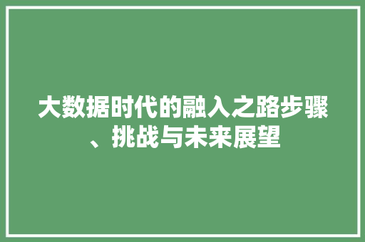 大数据时代的融入之路步骤、挑战与未来展望