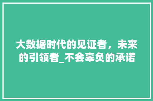 大数据时代的见证者,未来的引领者_不会辜负的承诺 大数据时代的见证者,未来的引领者_不会辜负的承诺