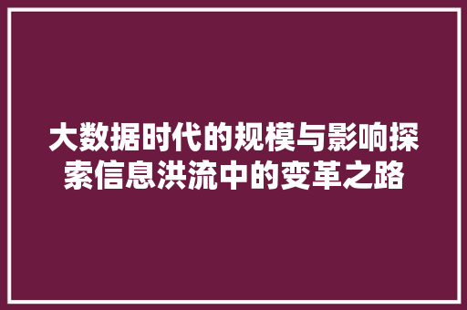 大数据时代的规模与影响探索信息洪流中的变革之路 大数据时代的规模与影响探索信息洪流中的变革之路