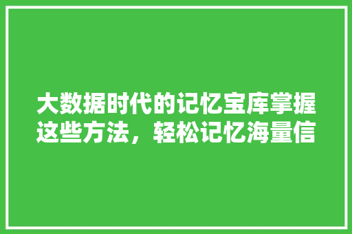 大数据时代的记忆宝库掌握这些方法，轻松记忆海量信息
