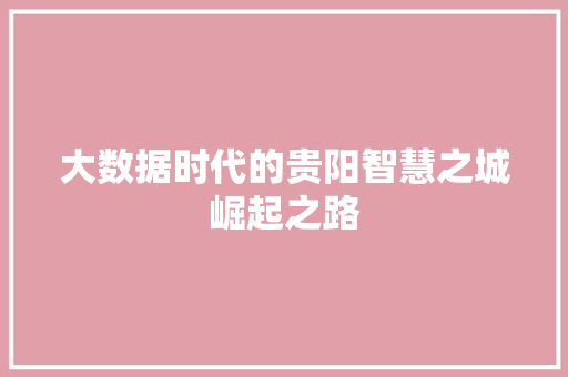 大数据时代的贵阳智慧之城崛起之路