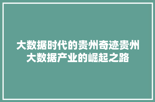 大数据时代的贵州奇迹贵州大数据产业的崛起之路