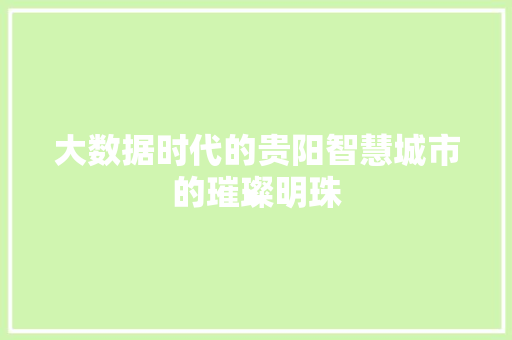大数据时代的贵阳智慧城市的璀璨明珠