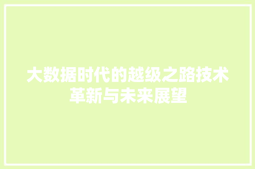 大数据时代的越级之路技术革新与未来展望