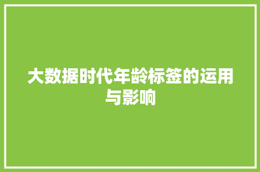 大数据时代年龄标签的运用与影响
