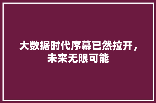 大数据时代序幕已然拉开，未来无限可能