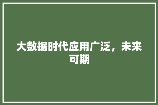 大数据时代应用广泛,未来可期 大数据时代应用广泛,未来可期