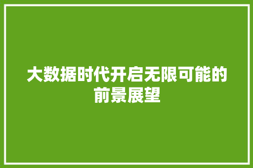 大数据时代开启无限可能的前景展望