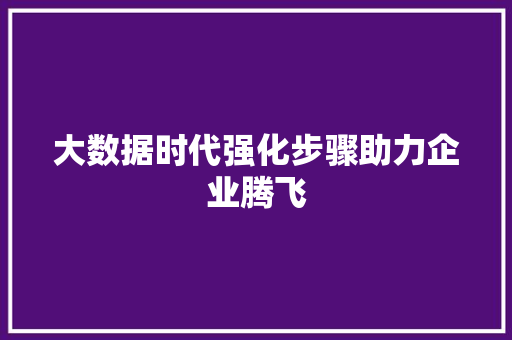 大数据时代强化步骤助力企业腾飞