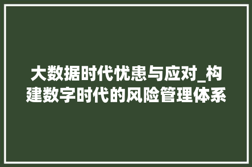 大数据时代忧患与应对_构建数字时代的风险管理体系