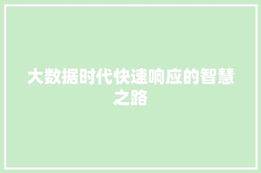 大数据时代快速响应的智慧之路
