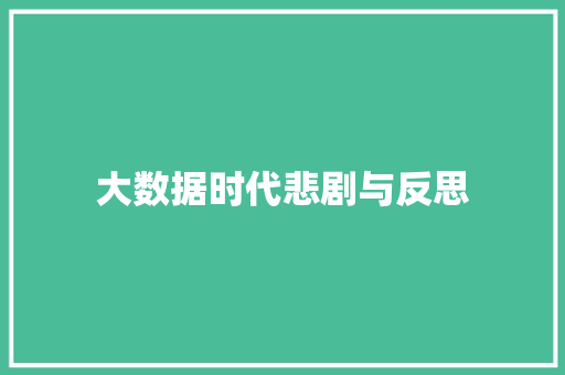 大数据时代悲剧与反思