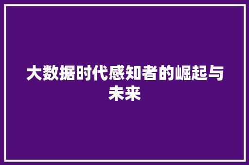大数据时代感知者的崛起与未来
