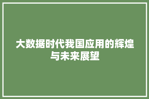 大数据时代我国应用的辉煌与未来展望