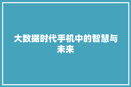大数据时代手机中的智慧与未来