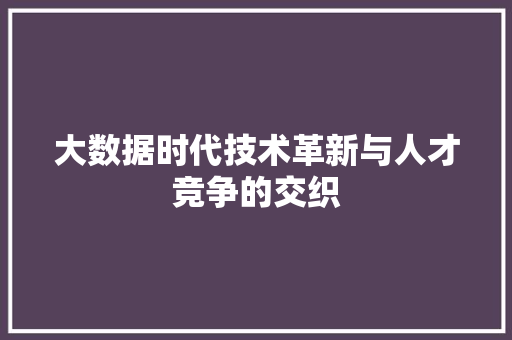 大数据时代技术革新与人才竞争的交织