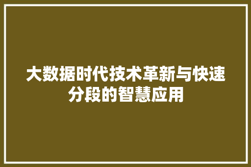 大数据时代技术革新与快速分段的智慧应用