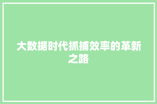 大数据时代抓捕效率的革新之路 电脑基础 大数据时代抓捕效率的革新之路 电脑基础