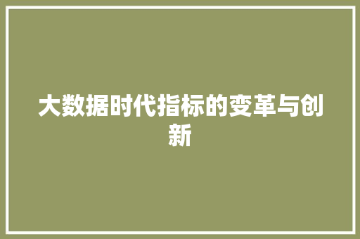 大数据时代指标的变革与创新