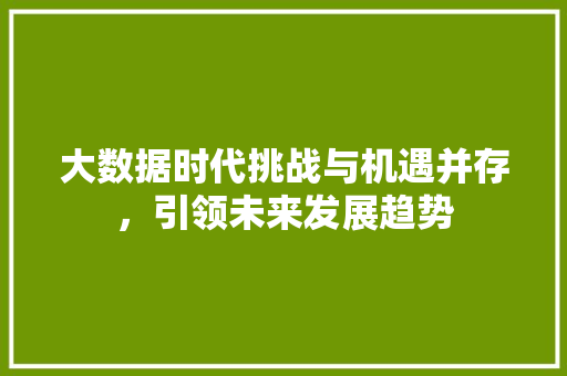 大数据时代挑战与机遇并存,引领未来发展趋势 大数据时代挑战与机遇并存,引领未来发展趋势
