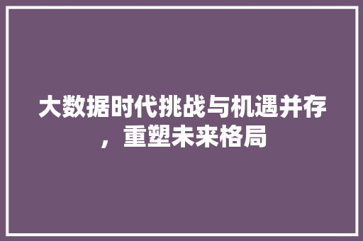 大数据时代挑战与机遇并存，重塑未来格局