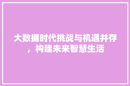 大数据时代挑战与机遇并存，构建未来智慧生活