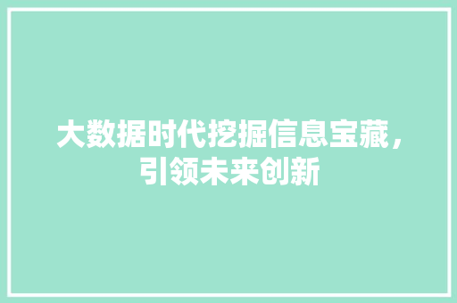 大数据时代挖掘信息宝藏，引领未来创新
