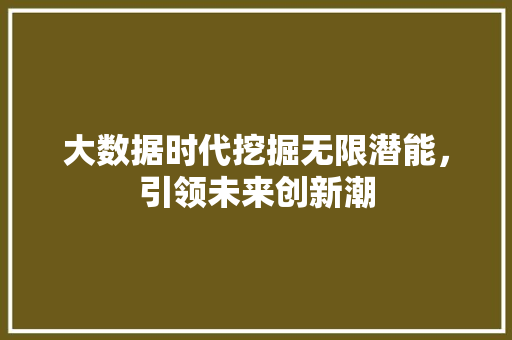 大数据时代挖掘无限潜能，引领未来创新潮
