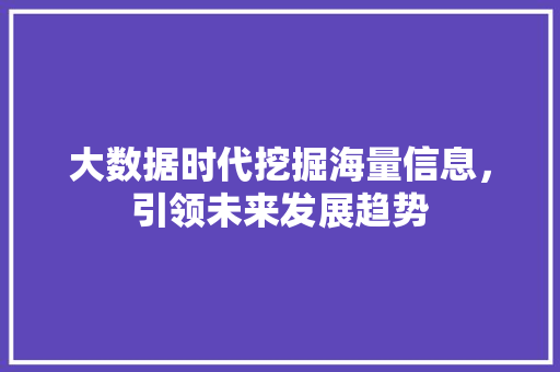 大数据时代挖掘海量信息，引领未来发展趋势