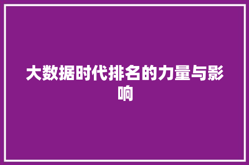 大数据时代排名的力量与影响