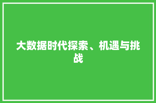 大数据时代探索、机遇与挑战
