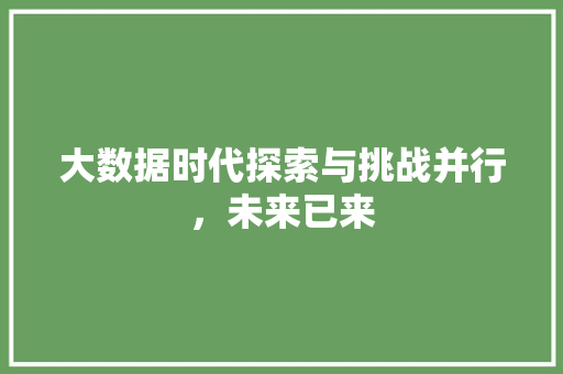 大数据时代探索与挑战并行，未来已来