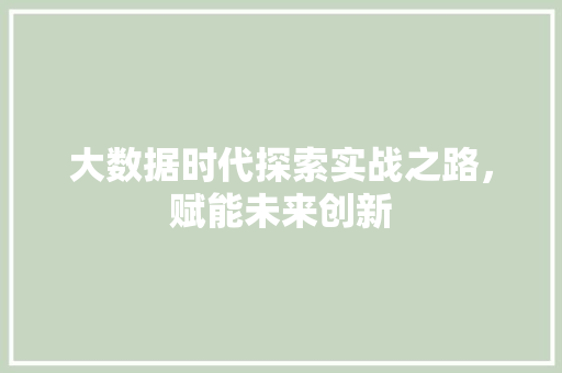 大数据时代探索实战之路,赋能未来创新 大数据时代探索实战之路,赋能未来创新