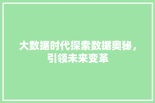 大数据时代探索数据奥秘，引领未来变革